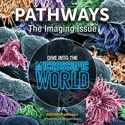 Graphic featuring multicolor scientific organism image with Pathways headline and title overlaid