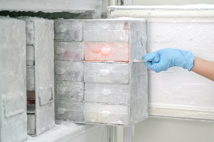 Laboratory freezer kept at an ultra low temperature