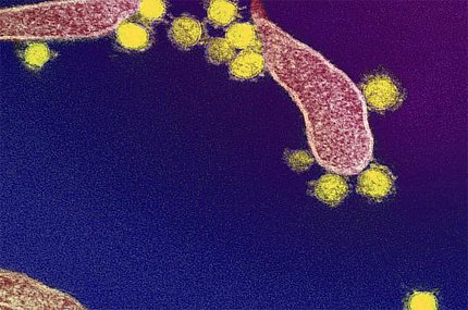 small yellow circles float in a blue sea, gathered around islands of red and white dots