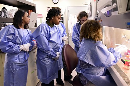 Five young people gathered at lab research hooded bench to observe demonstration.