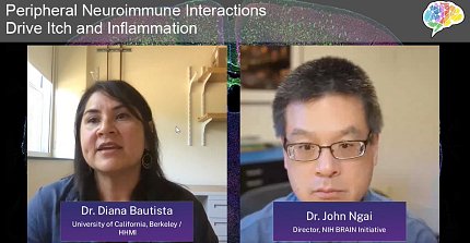 screenshot of Bautista and Ngai side by side