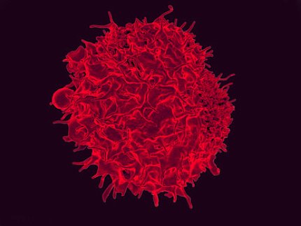 A red lymphocyte on a black background