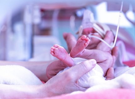 A woman's hand holds a baby's tiny feet in an incubator.