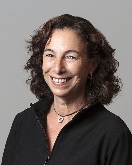 Staff scientist Roni Falk