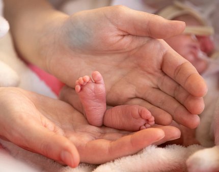 Tiny feet of premature baby cupped by adult hands