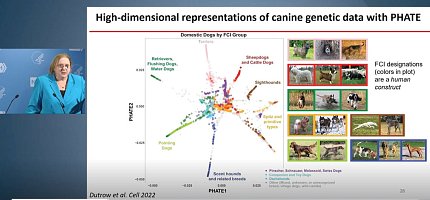 Ostrander explains a detailed Power Point slide showing a graph made of multicolored dots. The colors of the dots match up with the colored borders of the photos of dogs on the right side of the slide.