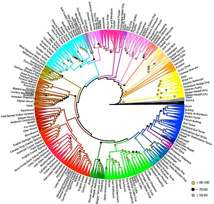 A multicolored graph spiraling out from a central point.