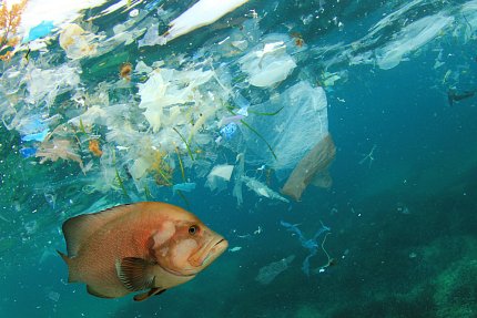 A fish swims in the sea surrounded by plastic pollution.