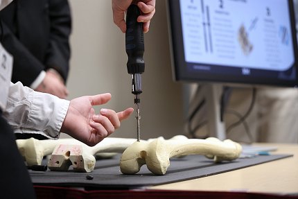 A human hand holds a human bone and uses a surgical screwdriver to insert a specialized screw into the bone. 