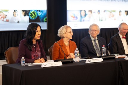 Clayton, Bianchi and Hodes sit at a panel