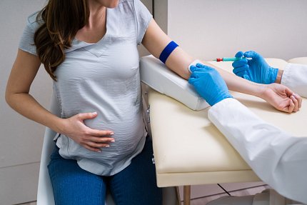 A pregnant woman prepares to have her blood drawn.