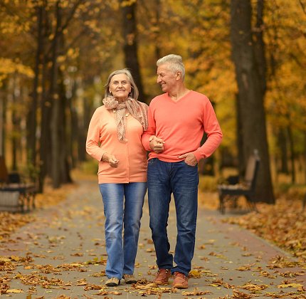 An older couple walks arm-in-arm along a tree-lined path.