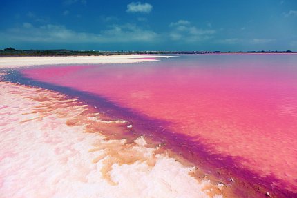 Pinkish, purplish lake water meets sand.