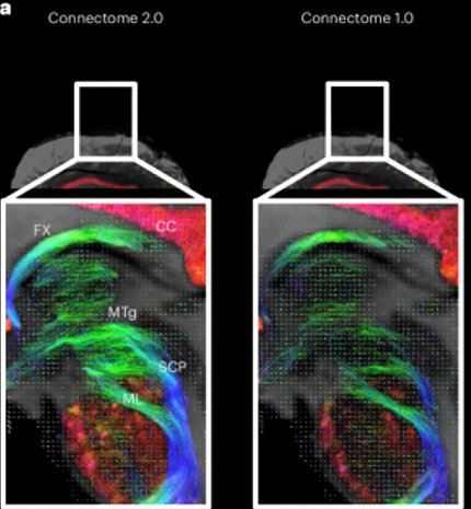 two images show higher-resolution, clear scan from the Connectome 2.0 vs. its predecessor