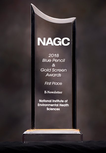 The NAGC Blue Pencil & Gold Screen First Place award