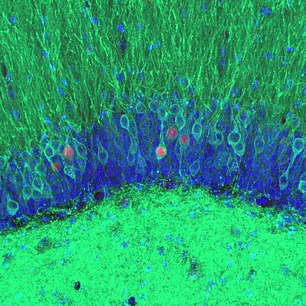 scientific image featuring green bottom, blue middle, and green grass-like shapes on top