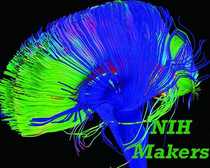 A blue and green fan-like structure interspersed with smaller amounts of red and yellow. "NIH Makers" is spelled out in the lower right corner.