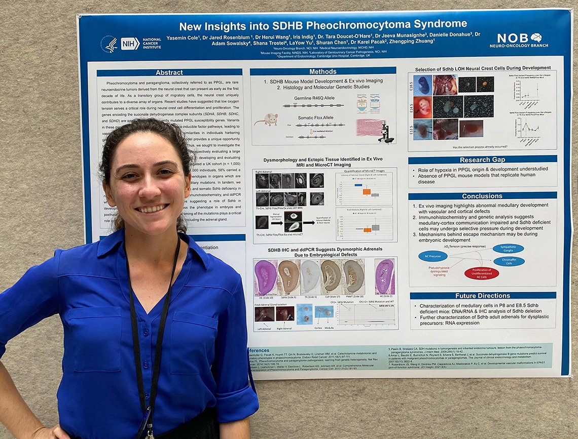 Scientists Showcase Findings at Festival Poster Sessions | NIH Record