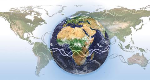 A globe is superimposed on a flat map of the Earth.