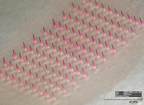 A close-up view of the patch shows many tiny pink needles.