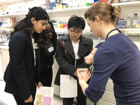 In a lab demonstration, Wall shows three B-CC students how to streak a petri dish.