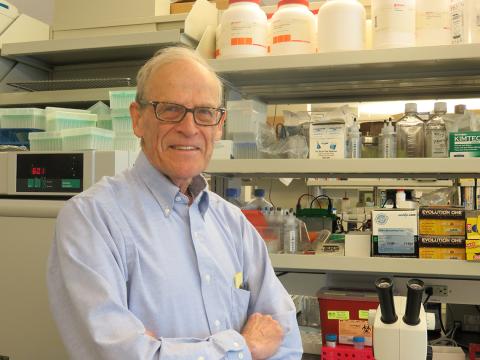 Dr. David Schlessinger in his lab