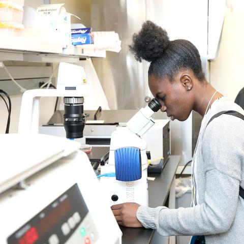 Girl looking into microscope