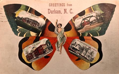 illustration of large butterfly with landmarks drawn in its 4 wing parts, a Greek statue as its body