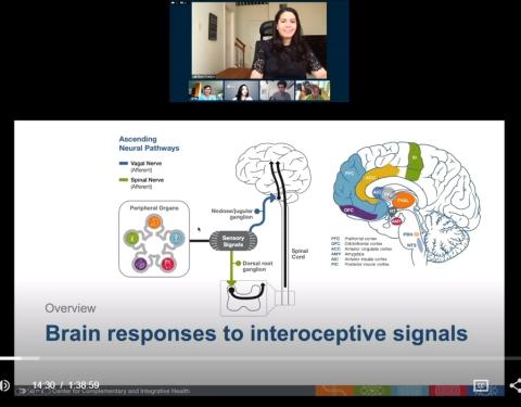 A screen shot during the webinar shows Francos speaking above a slide illuminating different parts of the brain.