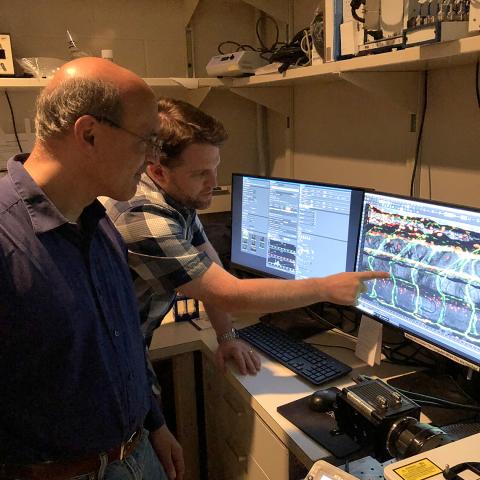 Castranova and Dr. Weinstein examine image on computer screen.