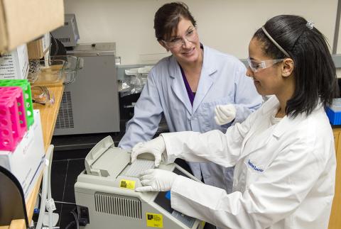 An intern works on a lab experiment with a mentor.