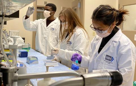 Three fellows in the lab, including one holding a beaker with blue liquid and another holding up and examining a small vial of blue liquid.