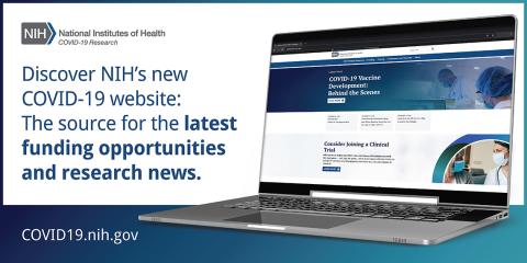 A graphic shows a laptop with new Covid-19 website on its screen.