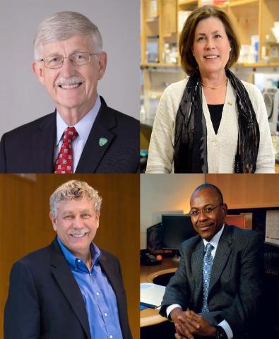 Four individual headshots in grid pattern