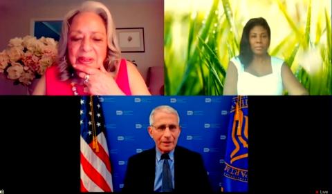 Screenshot grid with Pinn, White and Fauci