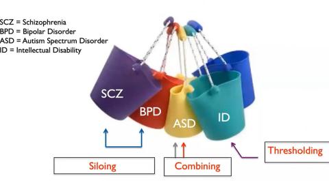 Colorful buckets each labeled for schizophrenia, bipolar disorder, ASD, intellectual disability - with some combined and others siloed