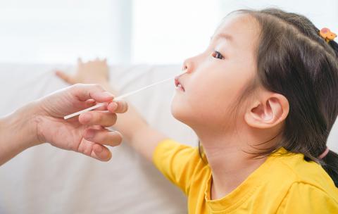 A young Asian girl tilts her head back as a long, Q-Tip-like testing swab is inserted into her nose.