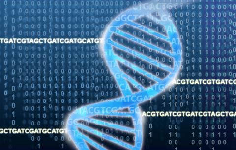 DNA double helix in front of a blue background featuring repeating binary and four DNA sequences