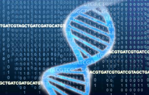 DNA double helix in front of a blue background featuring repeating binary and four DNA sequences