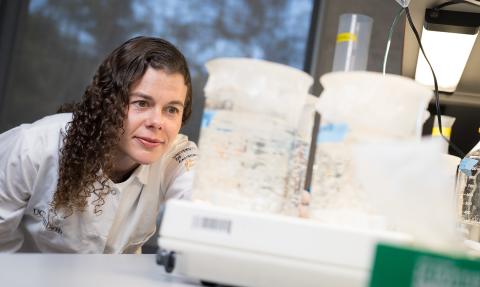 Christman in her lab, in white lab coat, inspects containers of hydrogel.