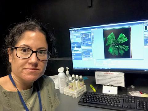 Tuncay with slides of zebrafish retina on screen beside her