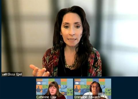 Epel talks on videocast as NIH's Law and Edwards listen in.