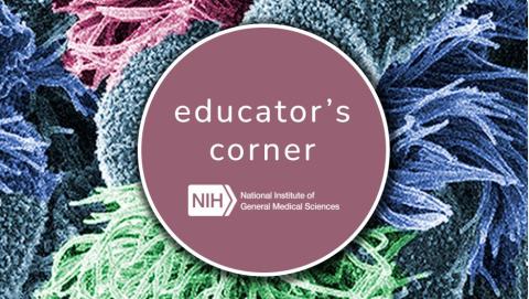 Graphic shows a multi-colored coral reef, with mauve circle in the middle with title: Educator's Corner