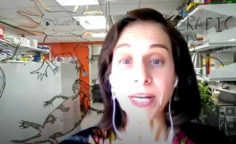 Screenshot of Del Rio-Tsonis speaking from her lab