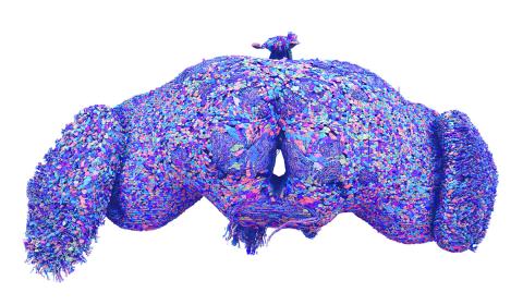 A computer-generated image of a fruit fly brain, which is purple with many multicolored flecks throughout.