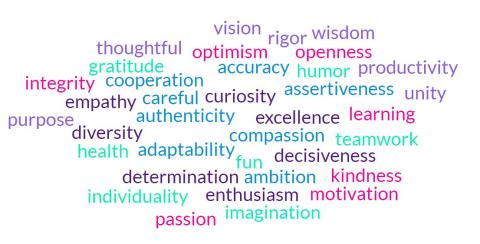 A word cloud shows different values including compassion, excellence, imagination, accuracy, optimism, vision