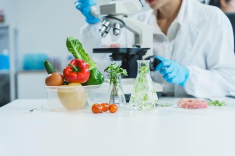 A bowl of vegetables in front of a microscope