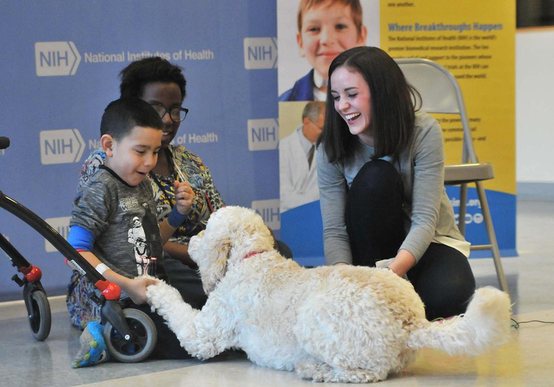 Kids at inn play with dog.