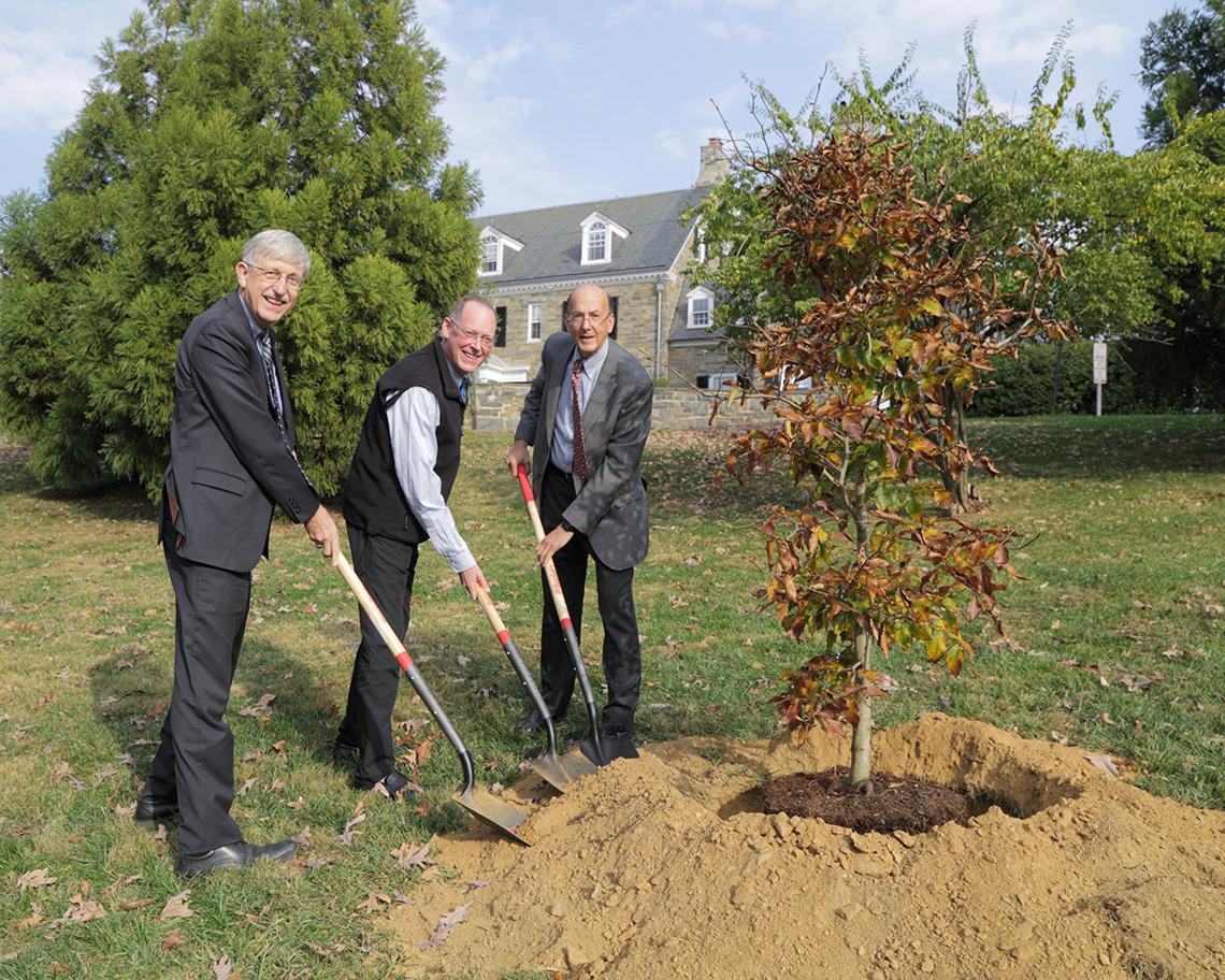 Doctors plant memorial tree at NIH.