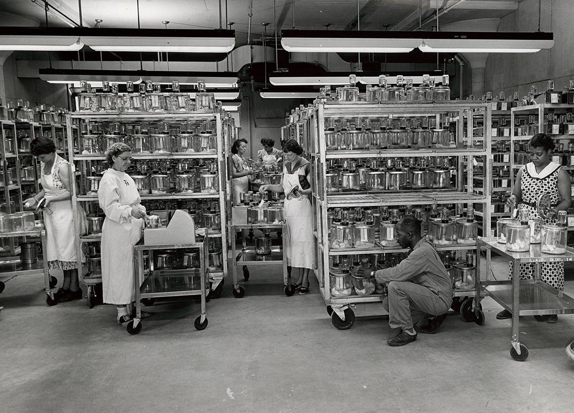 Old glass mouse cages